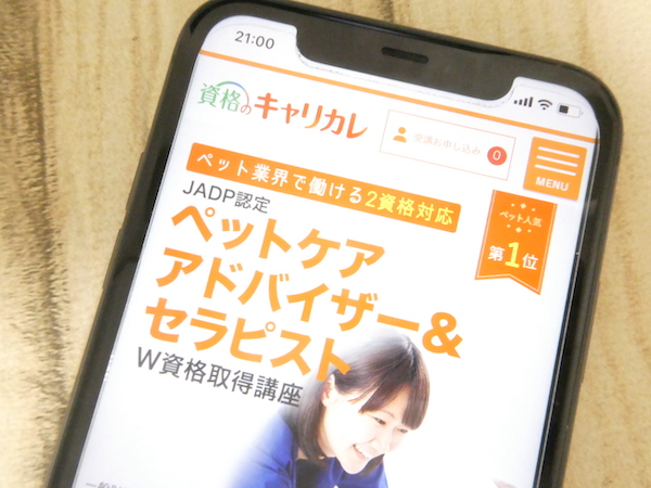 動物看護士通信講座おすすめランキング【2024年比較】どれがいいか比較 