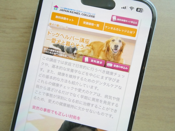 日本ケンネルカレッジドッグヘルパー講座は犬のケアスキルの専門性を高められる