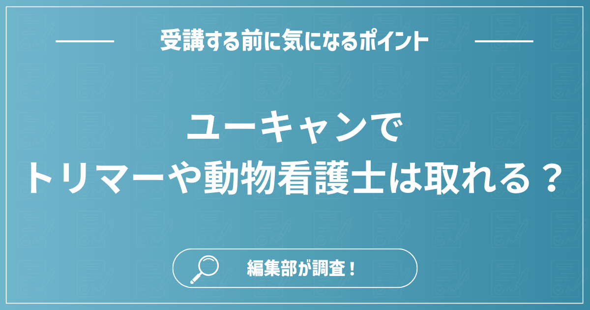 ユーキャンでトリマー資格や動物看護士を取得できる？おすすめの